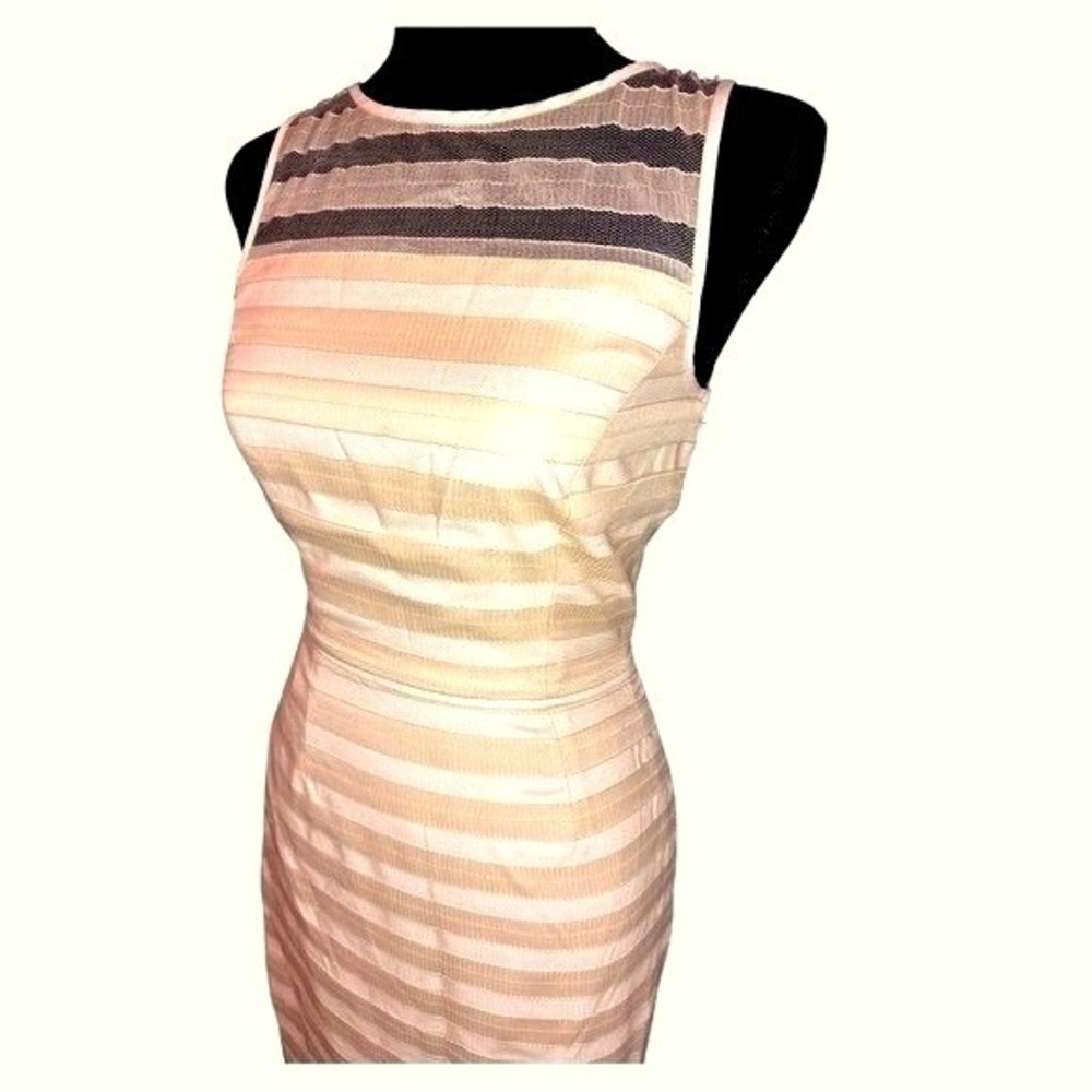 Gianni Bini Blush Pink Mesh Stripe Sheath Cocktail Dress Sleeveless Size 0
